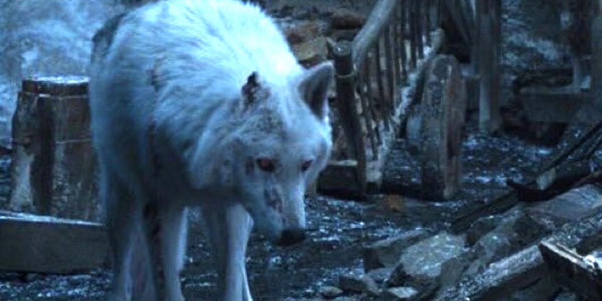 Game of Thrones y la nada convincente explicación de por qué Jon no se despidió de Ghost