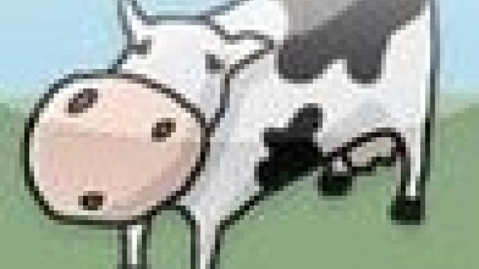 Moovin Up
