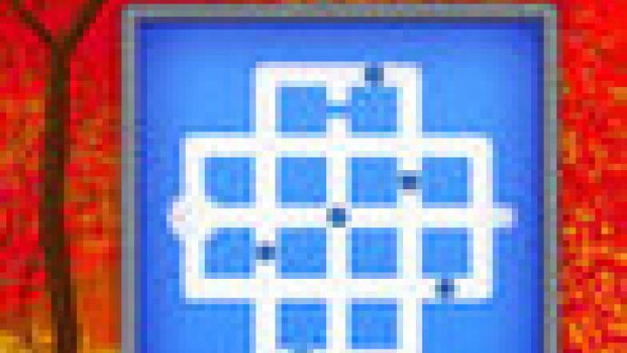 The Witness