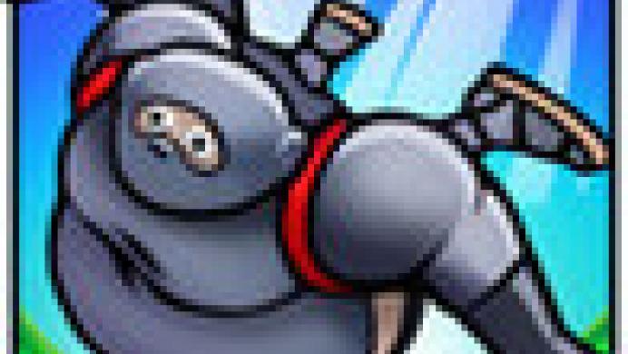 Ninja Toss