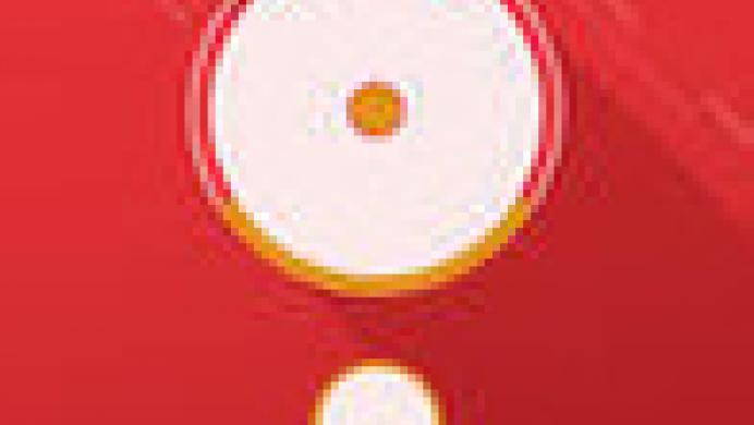 Into The Circle