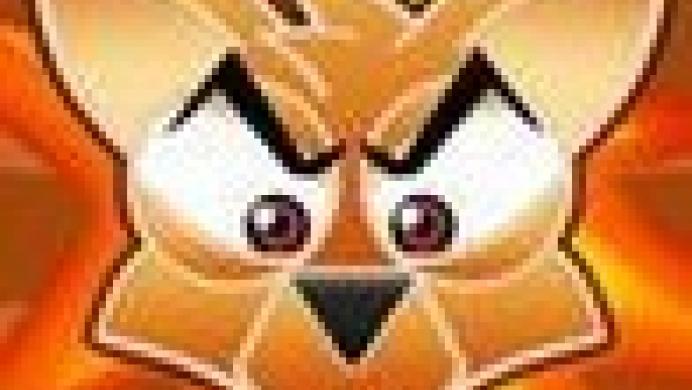 Coyote Boom Boom