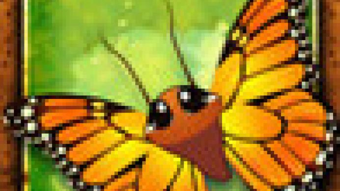 Flutter: Butterfly Sanctuary