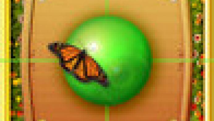 Garden of Orbs