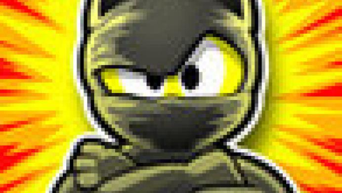 Ninja Hero Cats