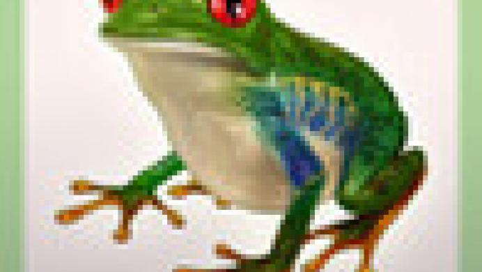 Frog Minutes