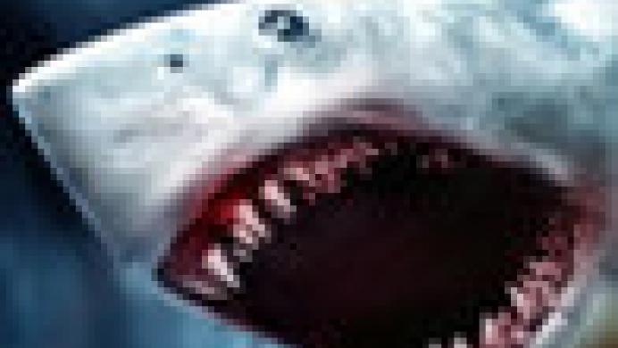 Sharknado: The Video Game