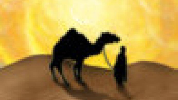 Reiner Knizia's Through the Desert