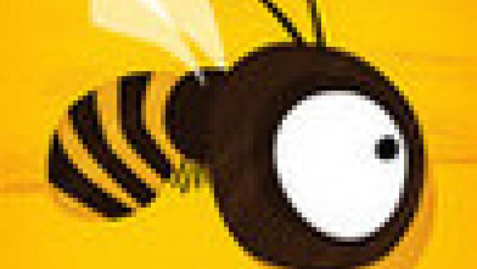 Bee Leader