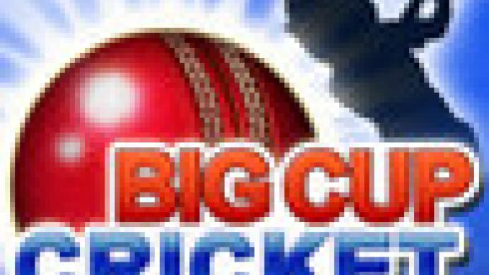 Big Cup Cricket