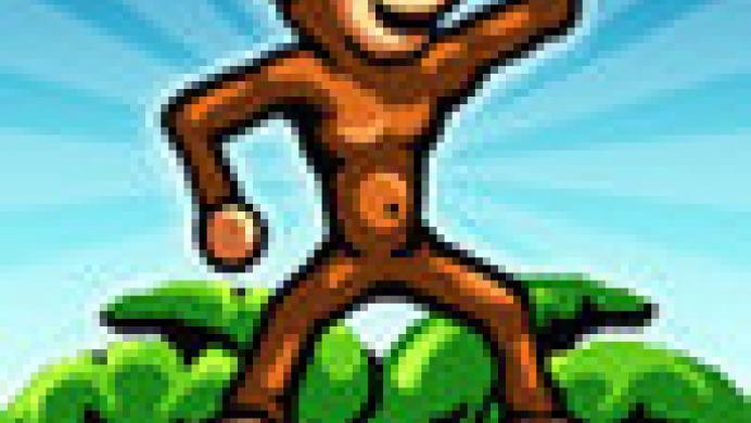 Monkey Flight 2