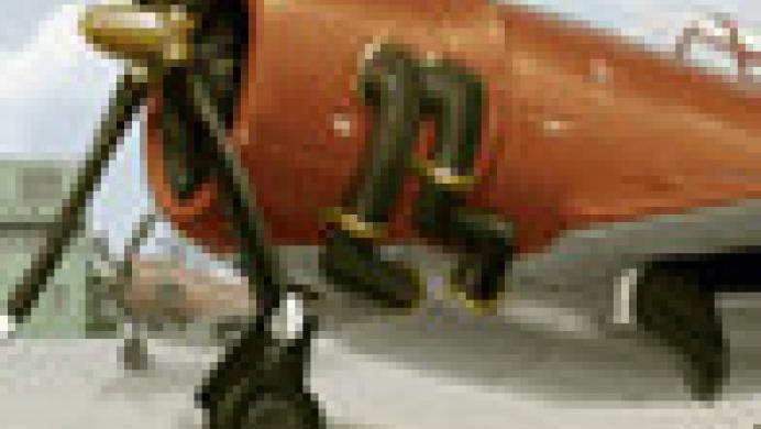 SteamBirds