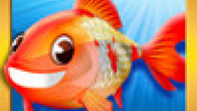 Fantastic Fish
