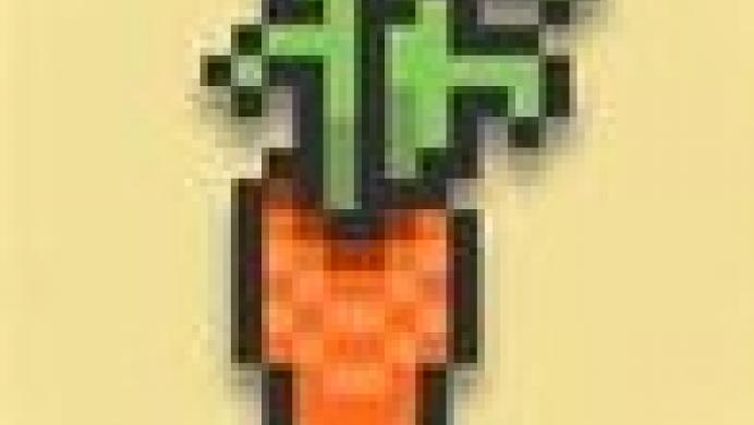 Carota!