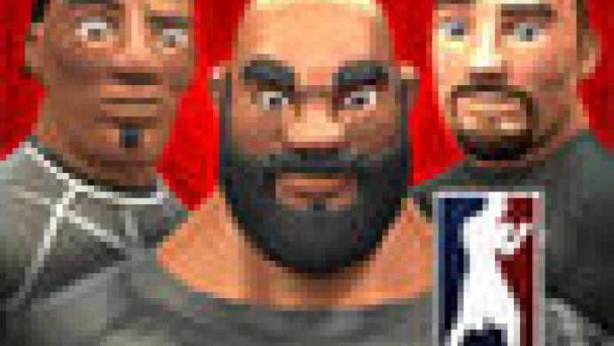 MMA Federation