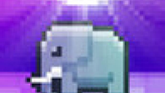 Disco Zoo