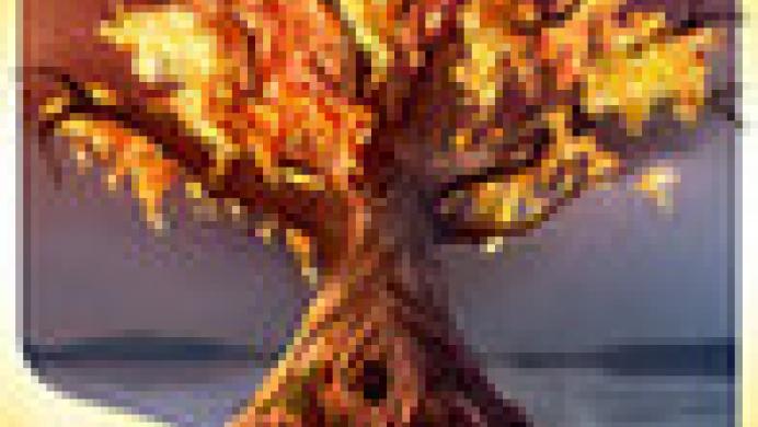 Spirit Walkers: Curse of the Cypress Witch