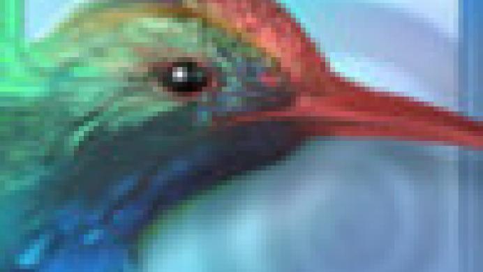 Flora: Jewel Quest