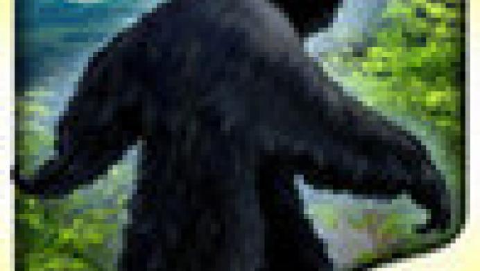 Bigfoot: Hidden Giant