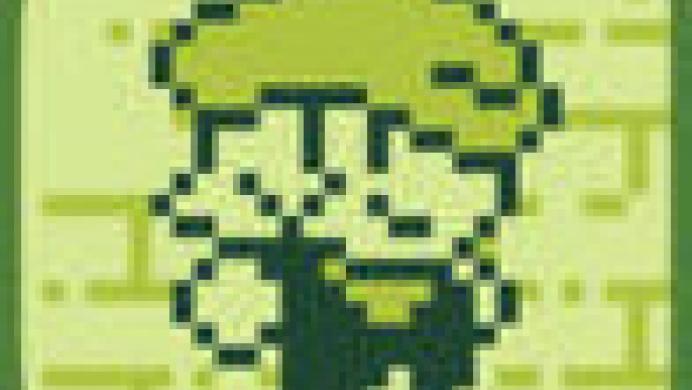 Tiny Dangerous Dungeons