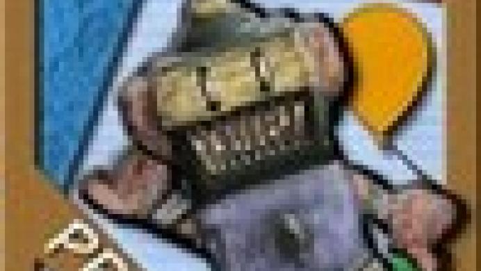 Chuck the Bot (Pro)