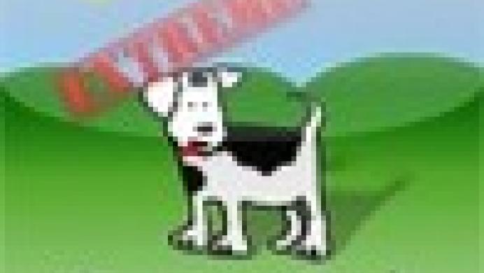 Extreme Sheepdog Trials