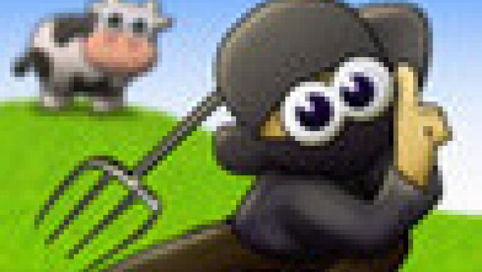 Ninja Ranch!