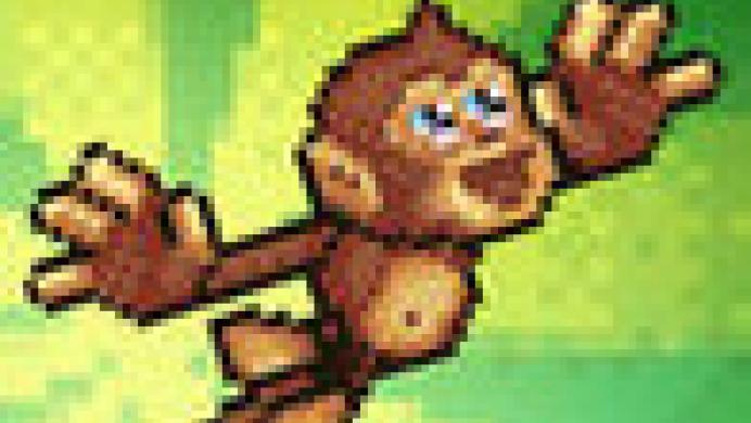 Monkey Swingers