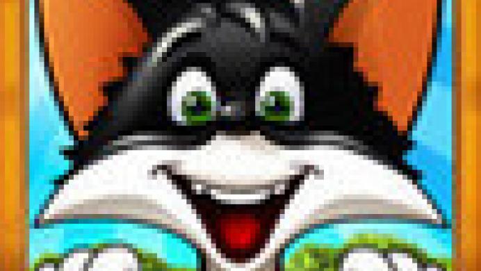 Sly Fox