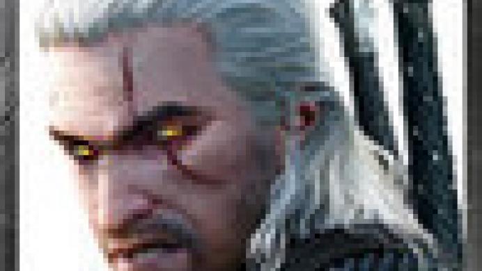 The Witcher Battle Arena