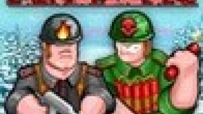 Battalion Commander