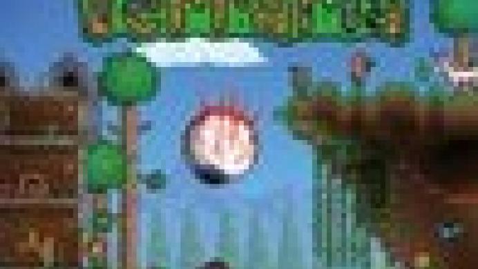 Terraria Terraria