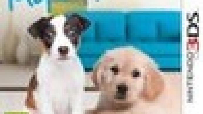 I Love My Dogs