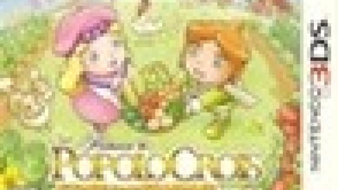 Return to PoPoLoCrois: A Story of Seasons Fairytale