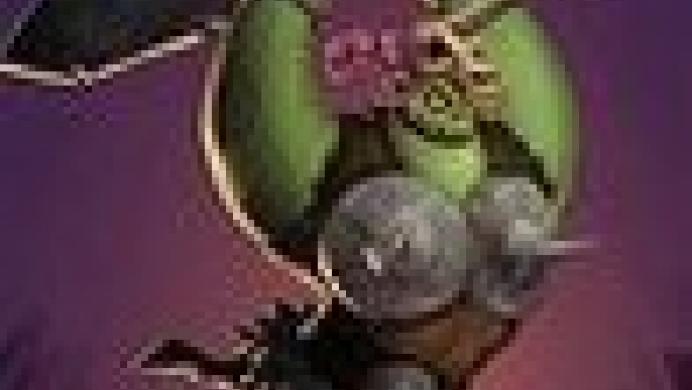 Zombie Vikings