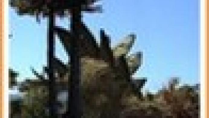 Dinox