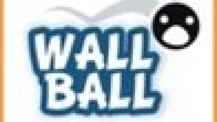 Wall Ball