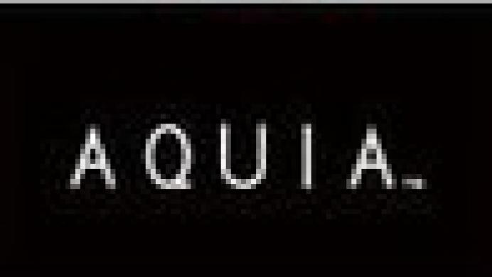 Art Style: AQUIA