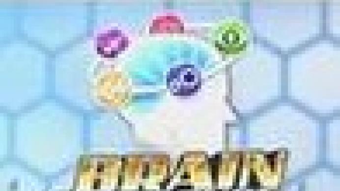 Brain Challenge (DSiWare)