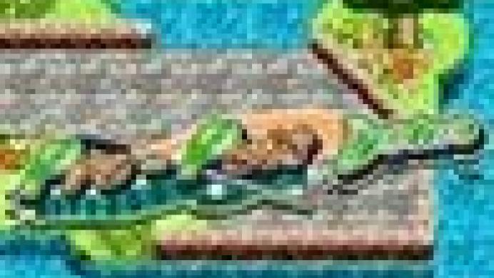 Pro-Putt Domo