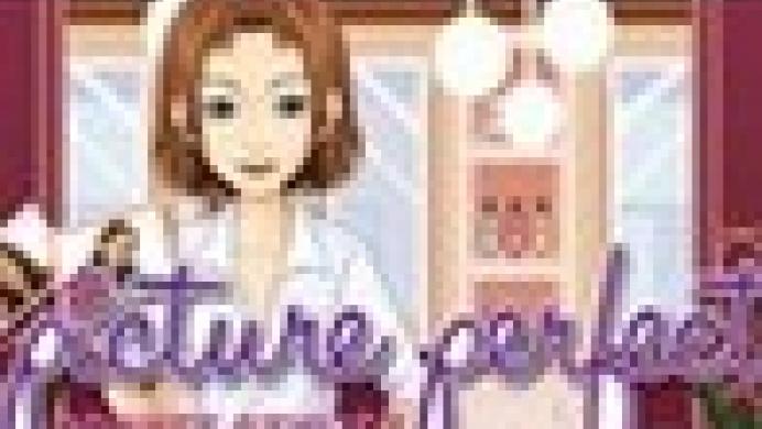 Picture Perfect Pocket Stylist