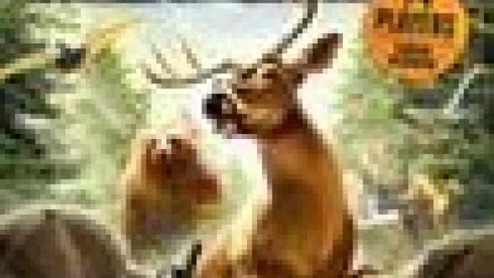 Deer Drive