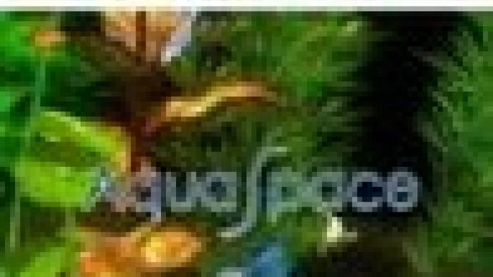 AquaSpace