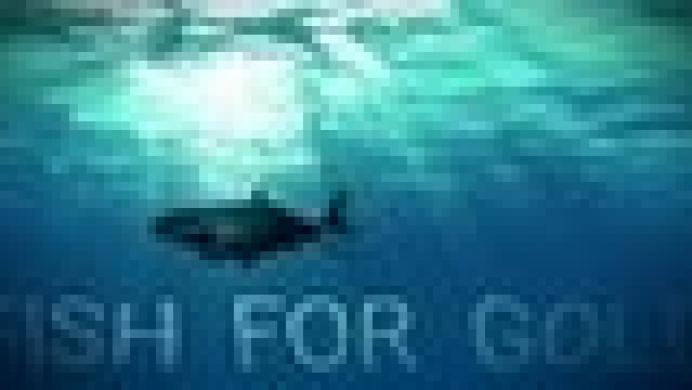 Fish for gold