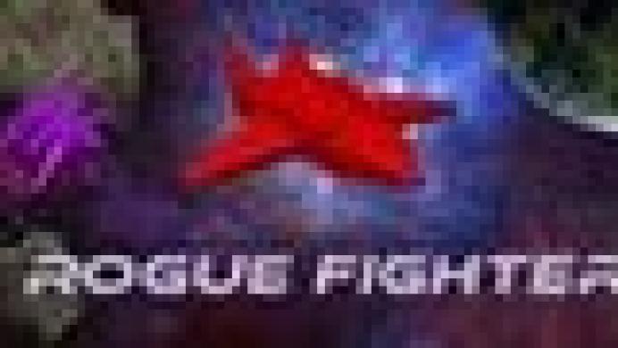 Rogue Fighter