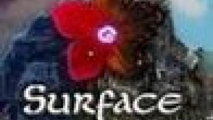 Surface: Mystery of Another World