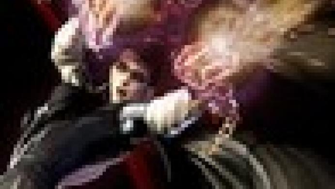 Bayonetta