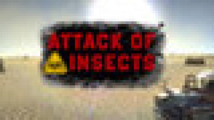 Attack Of Insects