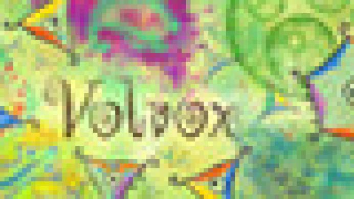 Volvox