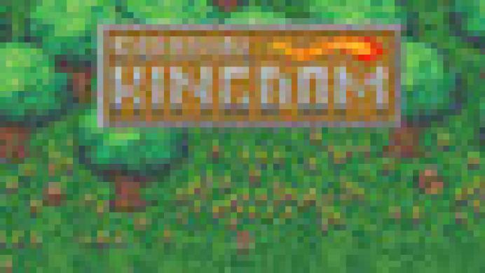 Survival Kingdom